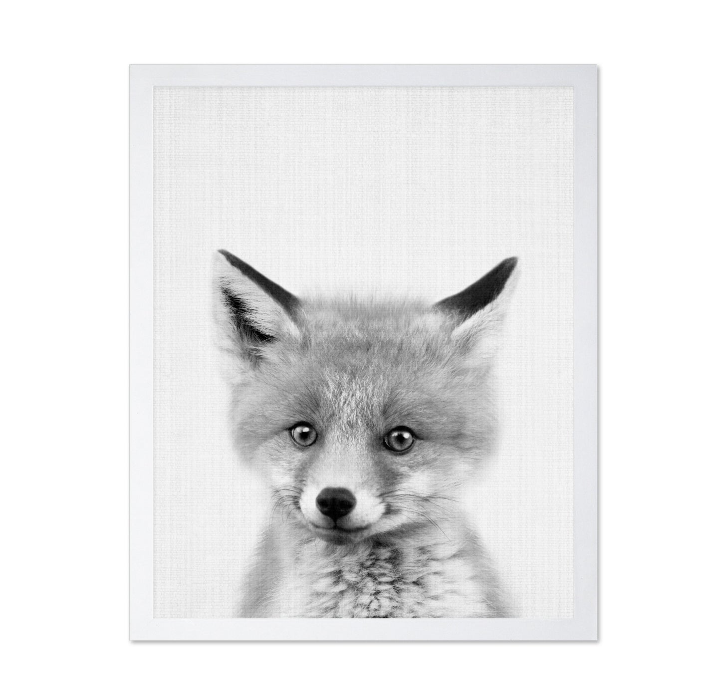 Black & White Peekaboo Fox