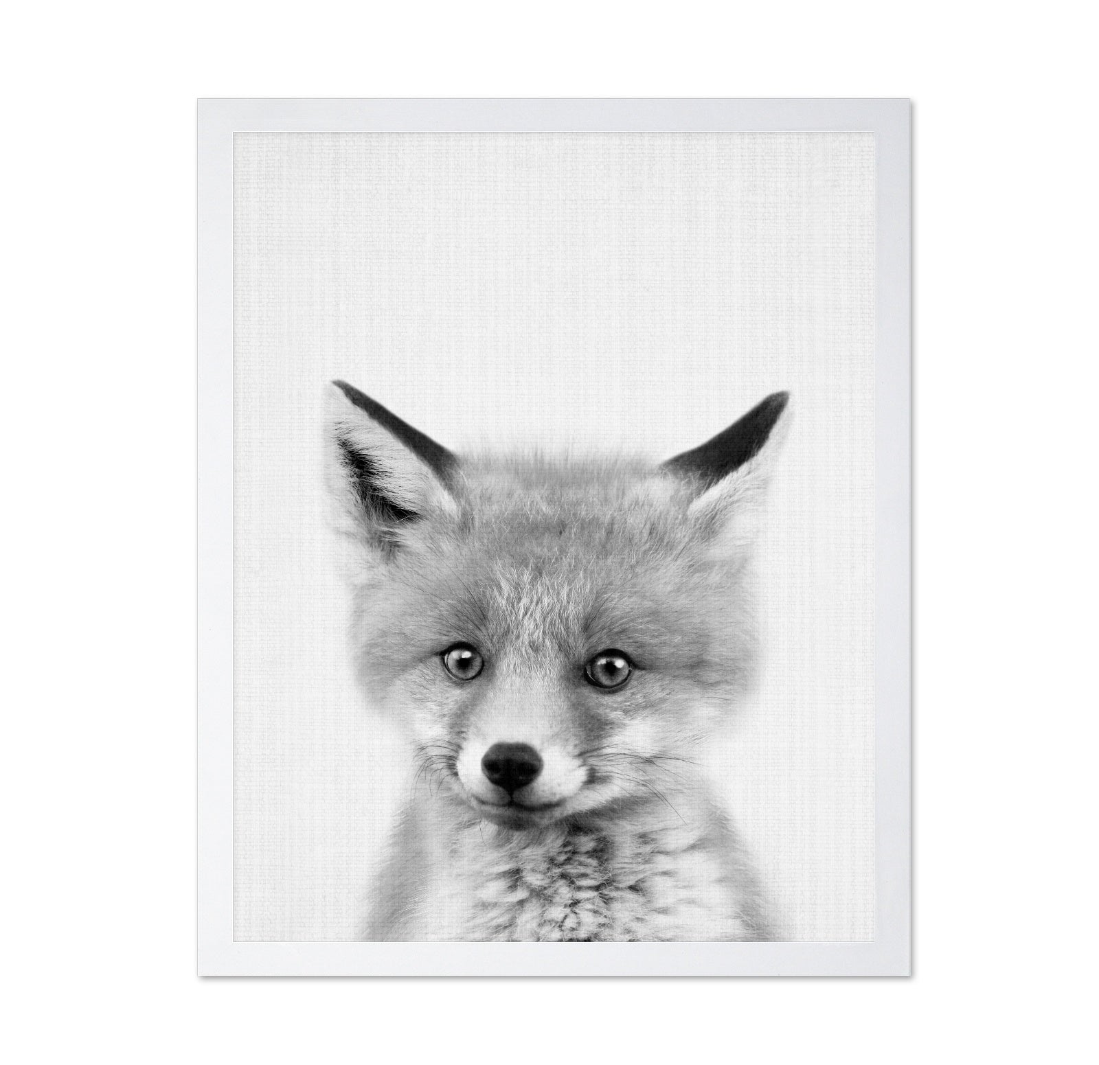 Black & White Peekaboo Fox