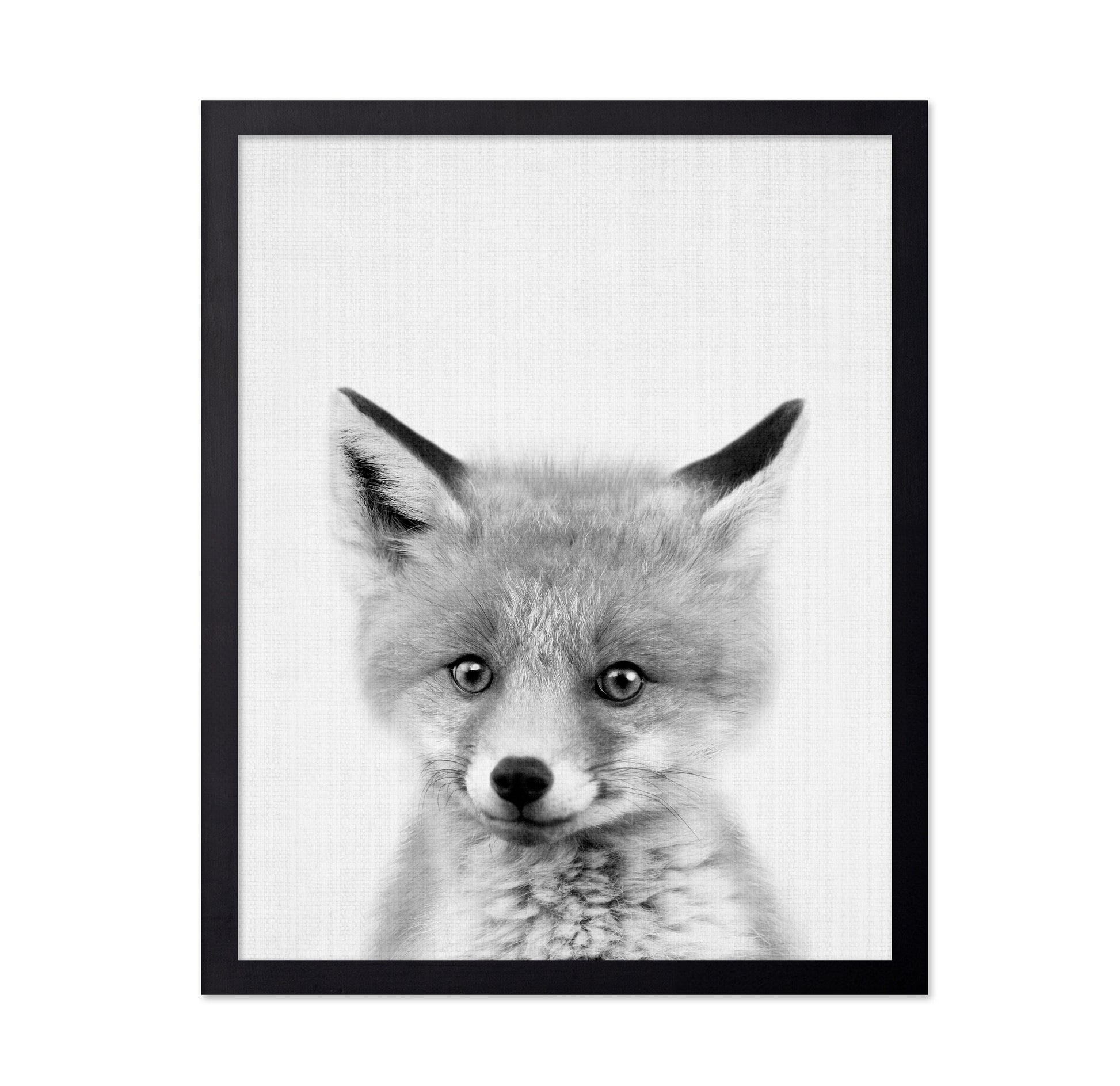 Black & White Peekaboo Fox