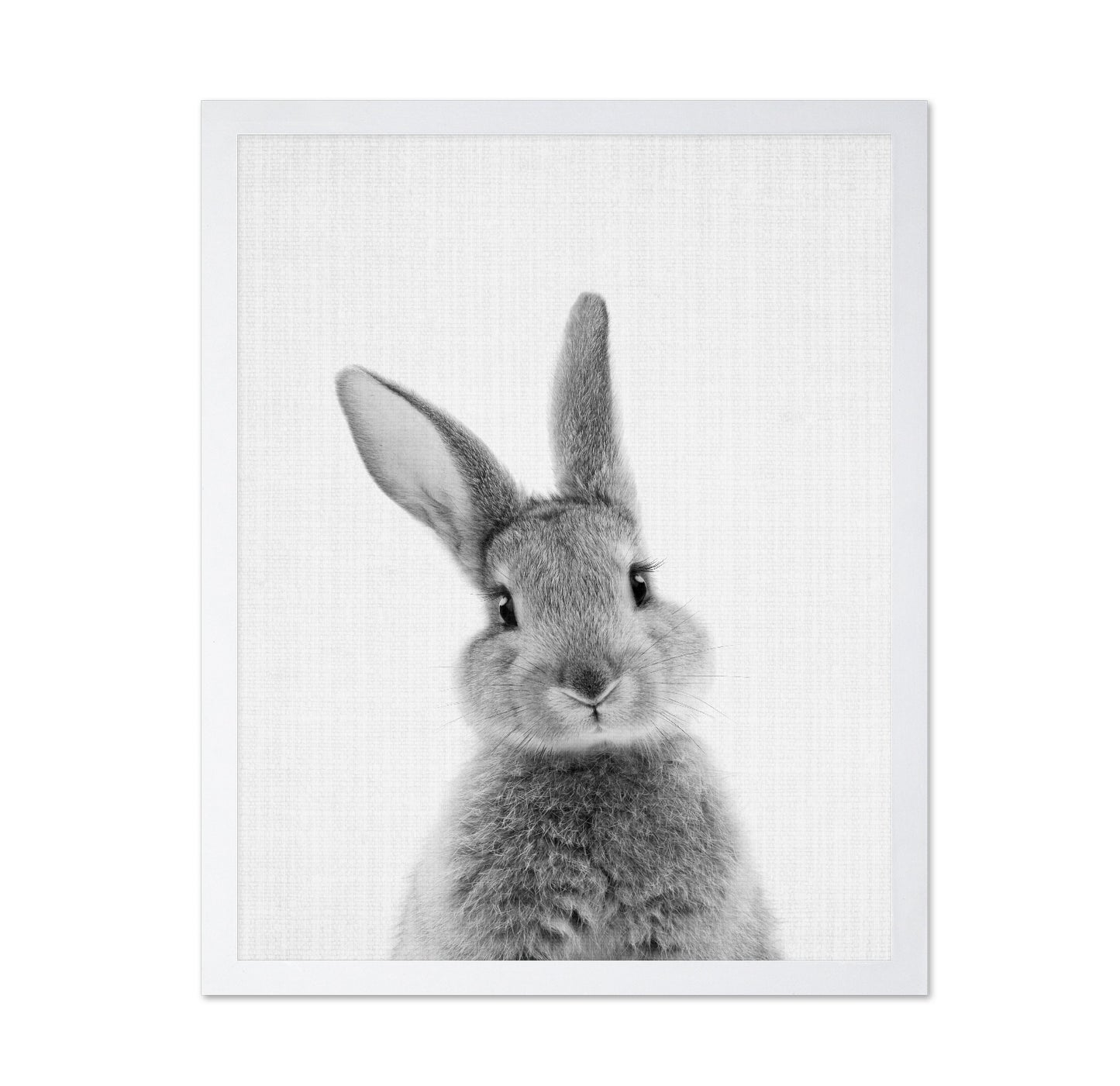 Black a White Peekaboo Bunny