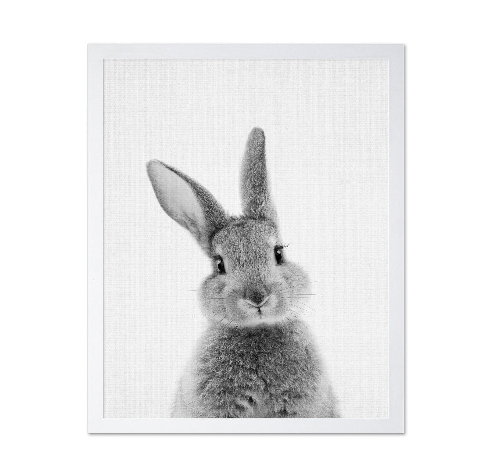 Black a White Peekaboo Bunny