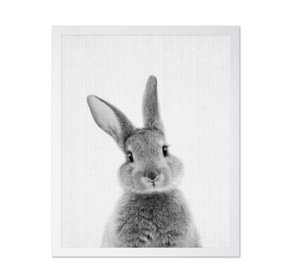 Black a White Peekaboo Bunny