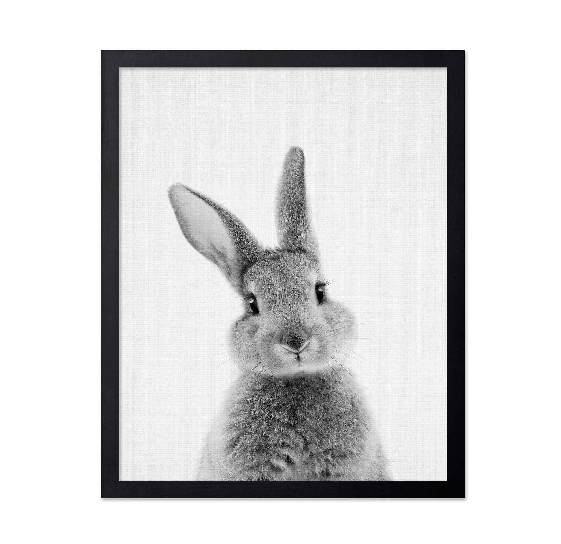 Black a White Peekaboo Bunny