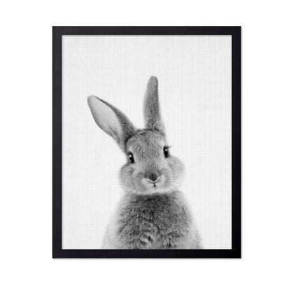 Black a White Peekaboo Bunny