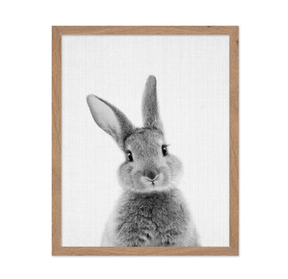 Black a White Peekaboo Bunny