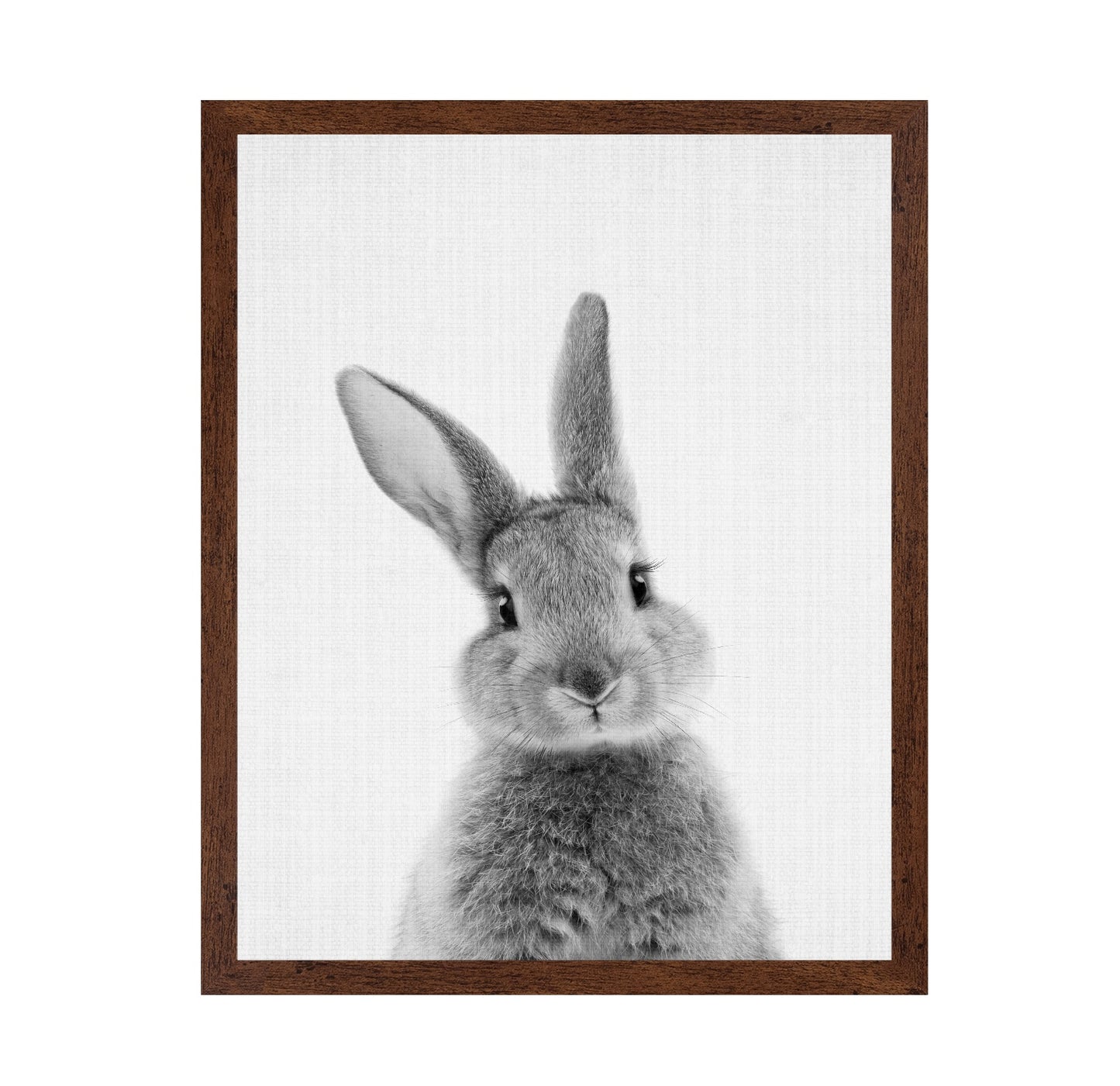 Black a White Peekaboo Bunny