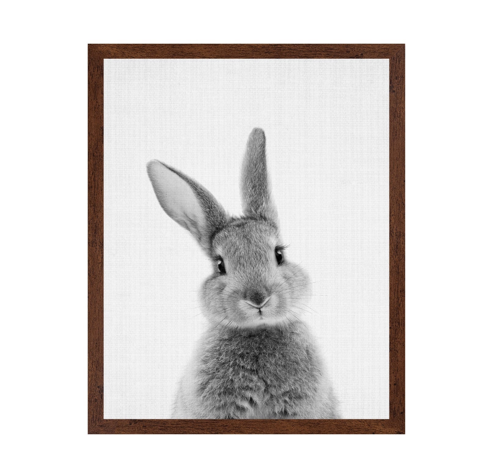 Black a White Peekaboo Bunny
