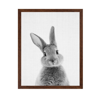 Black a White Peekaboo Bunny