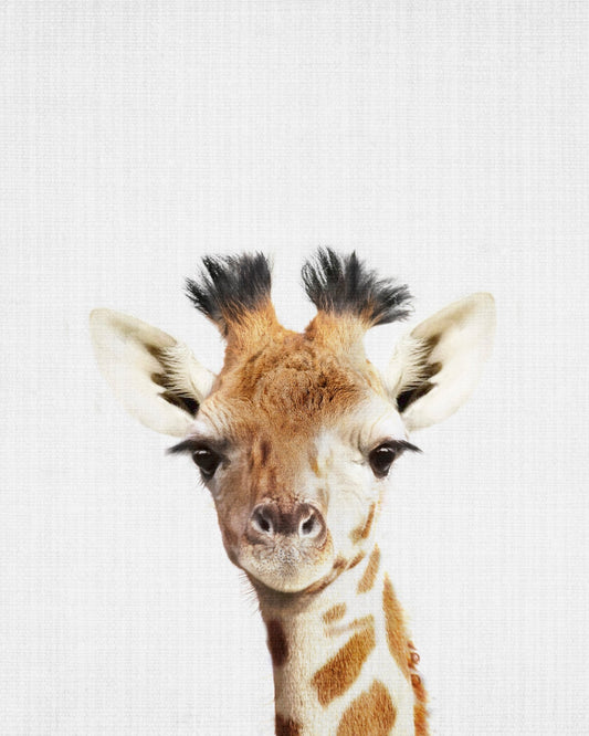 Peekaboo Giraffe