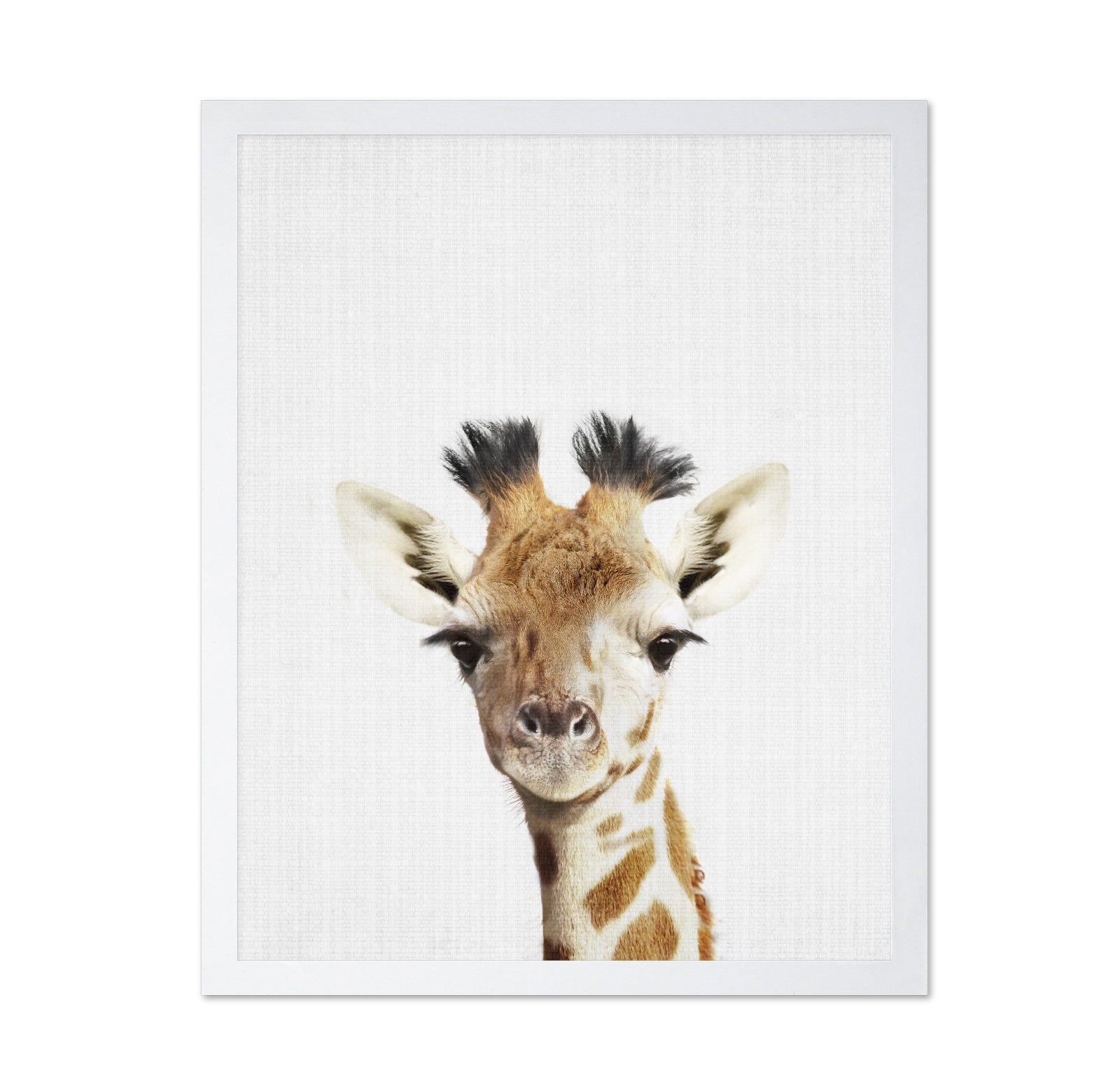 Peekaboo Giraffe
