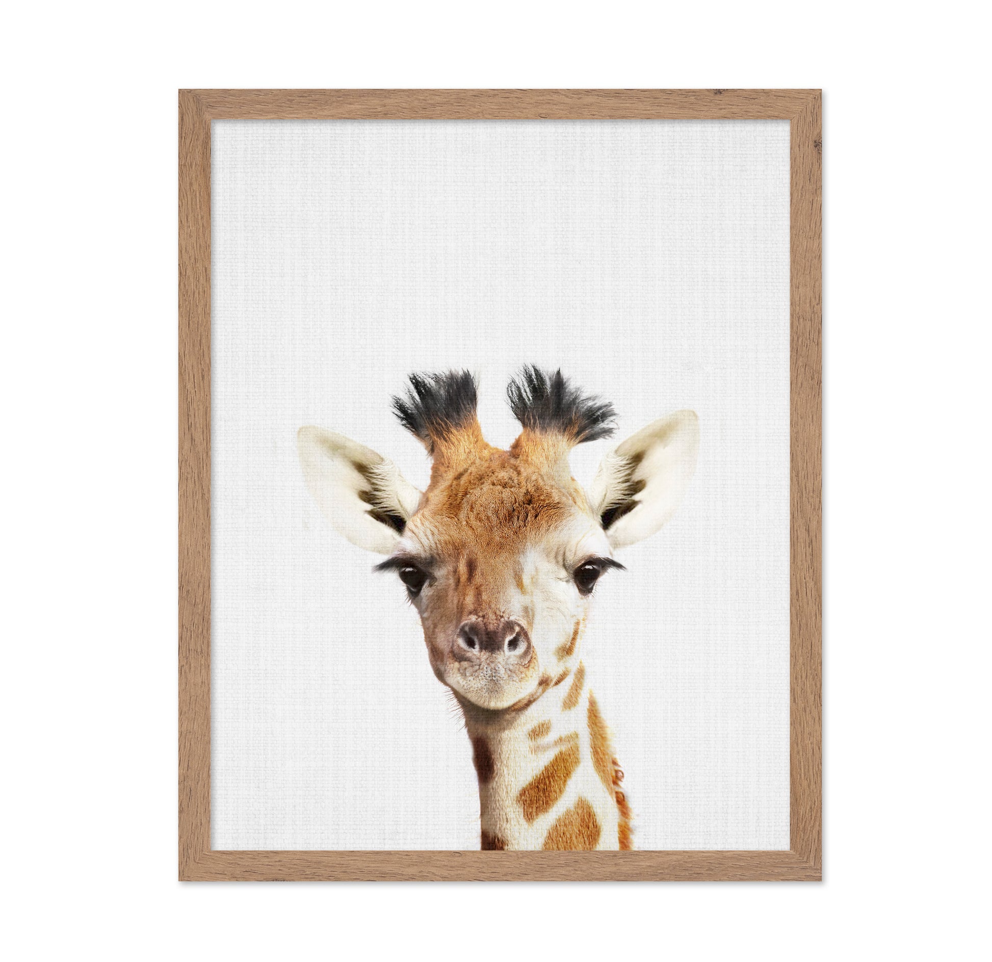 Peekaboo Giraffe