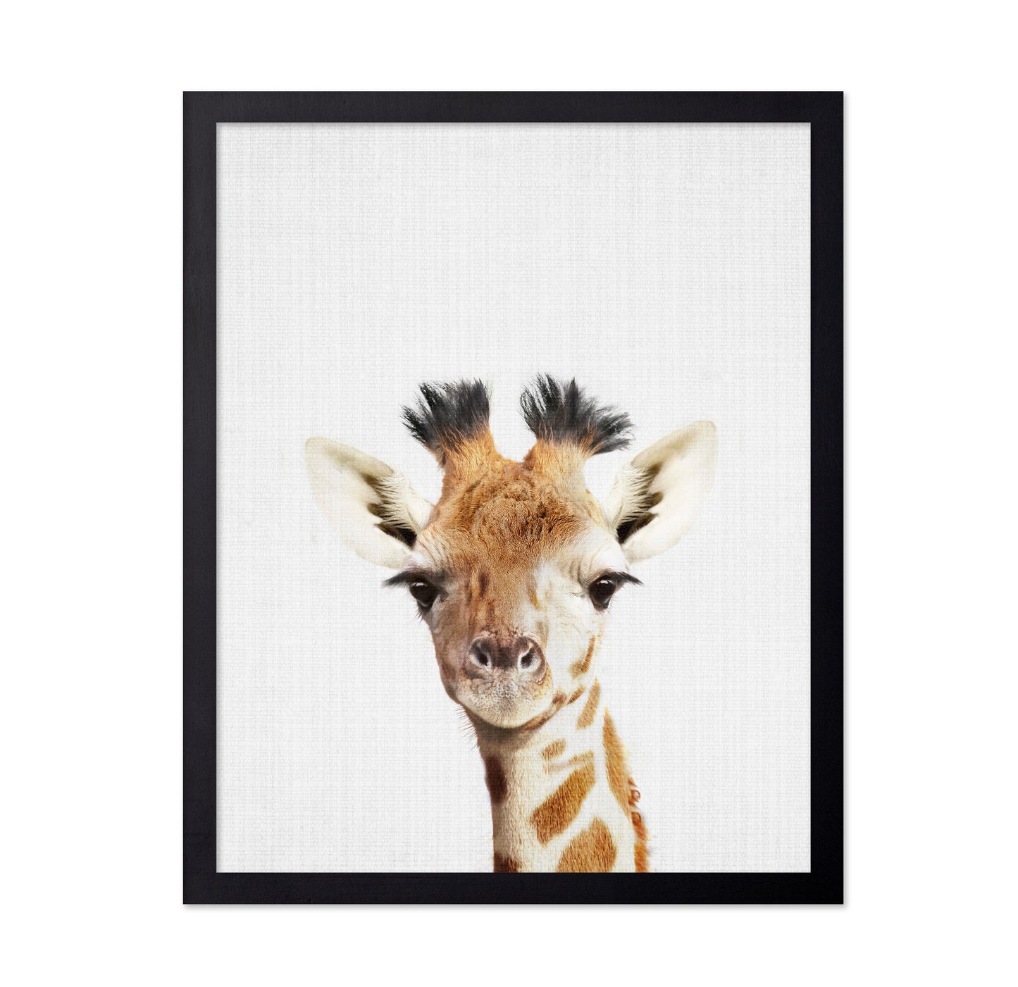 Peekaboo Giraffe