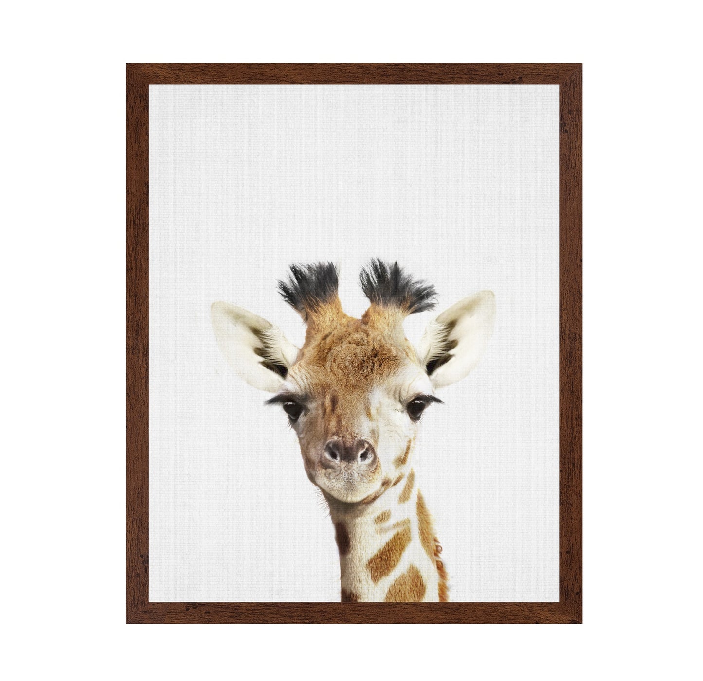 Peekaboo Giraffe