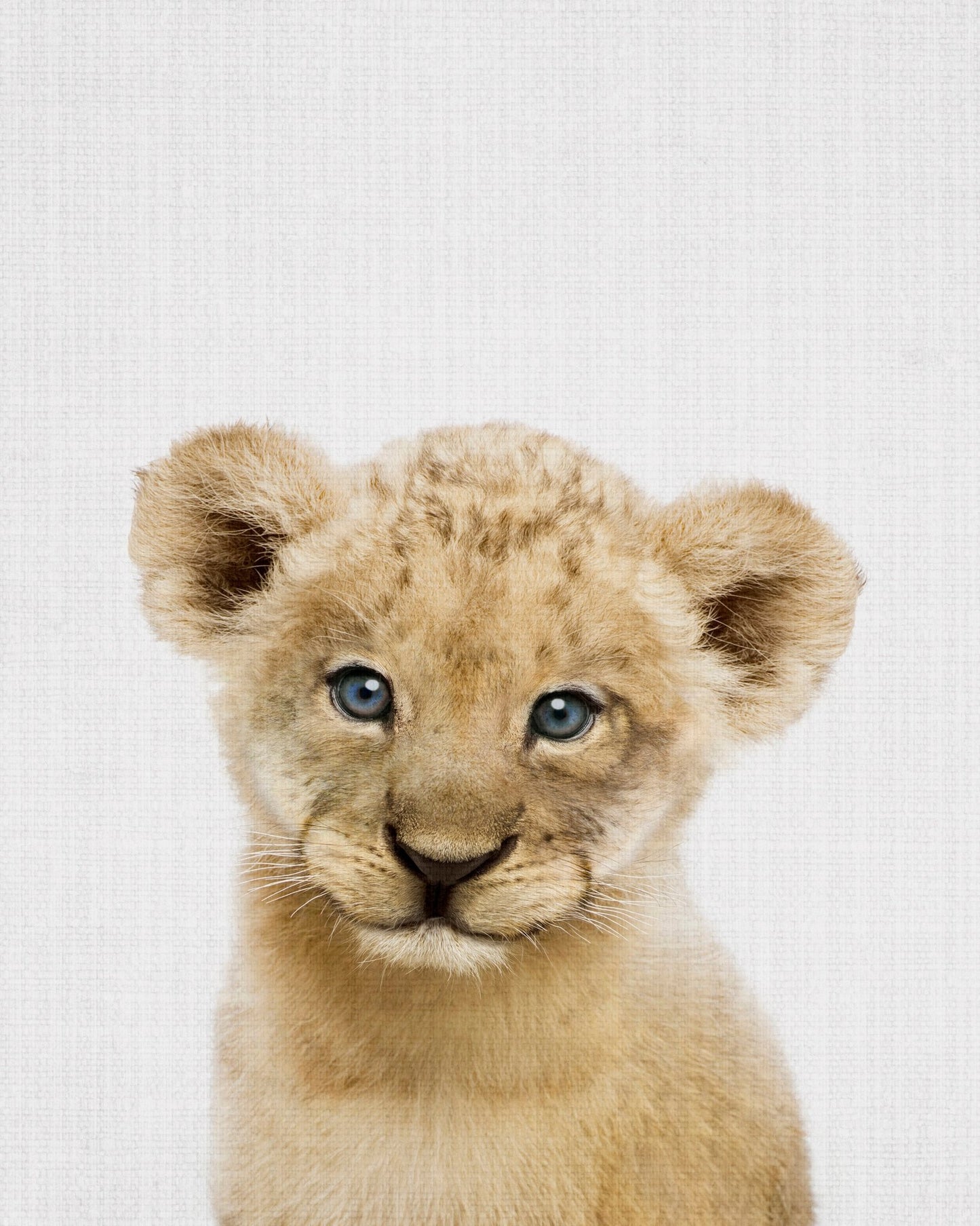 Peekaboo Baby Lion