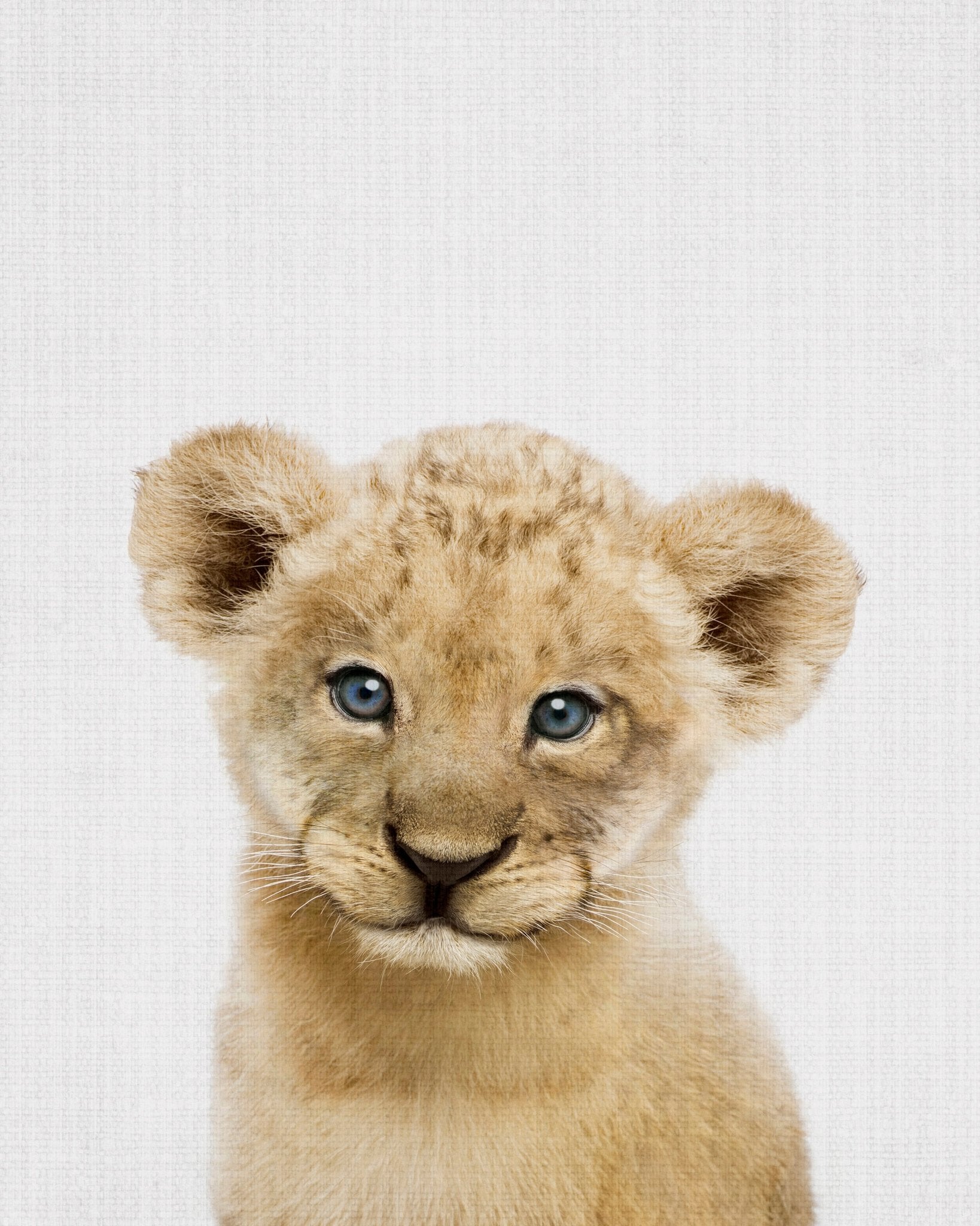 Peekaboo Baby Lion