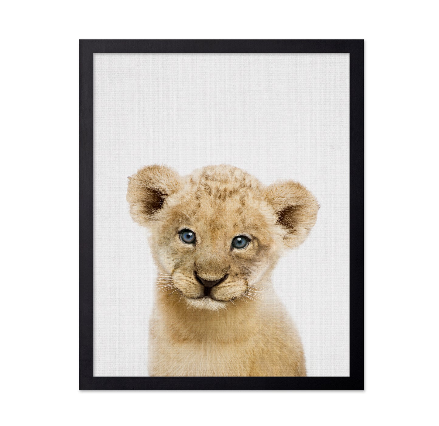Peekaboo Baby Lion