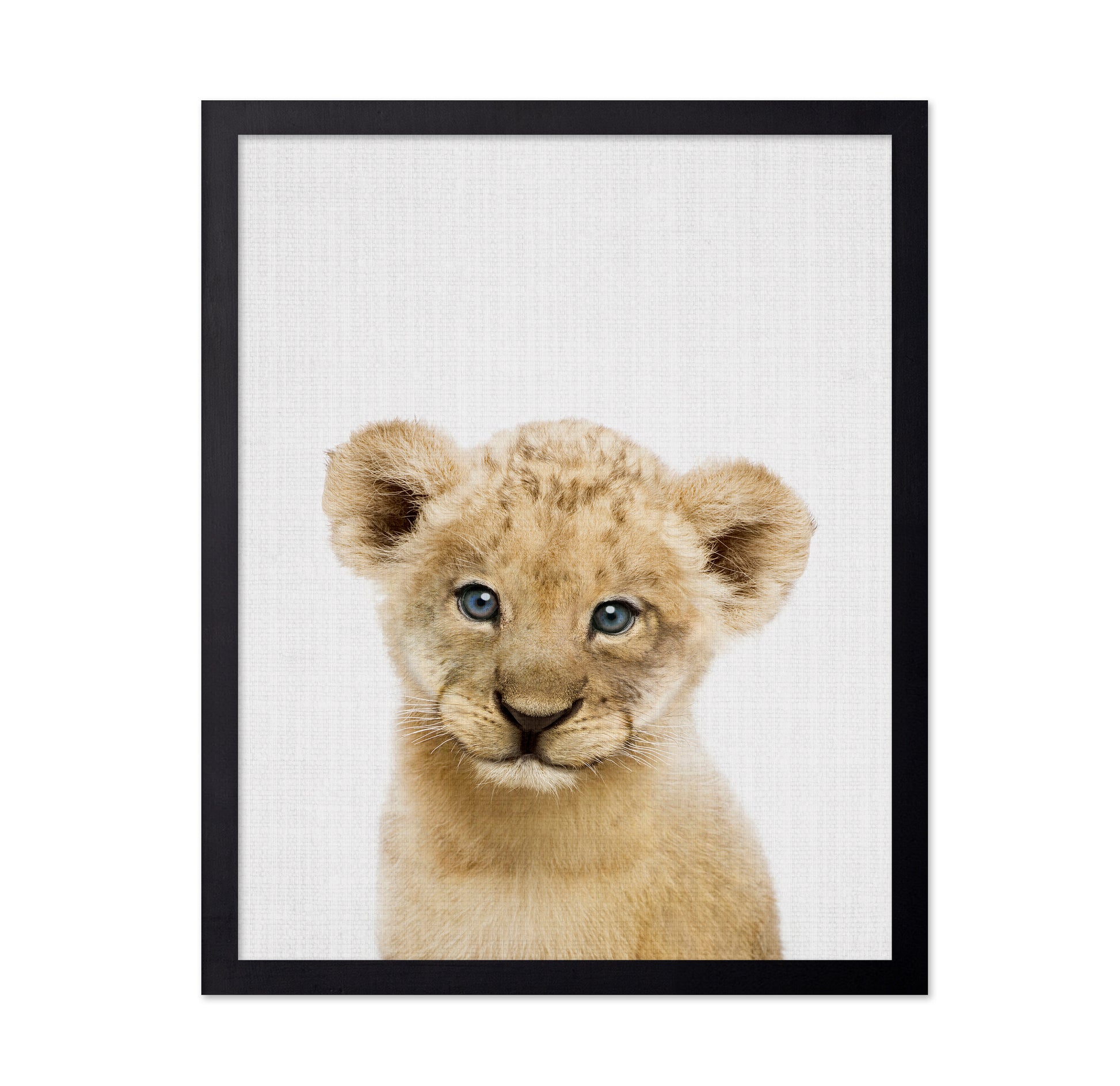 Peekaboo Baby Lion