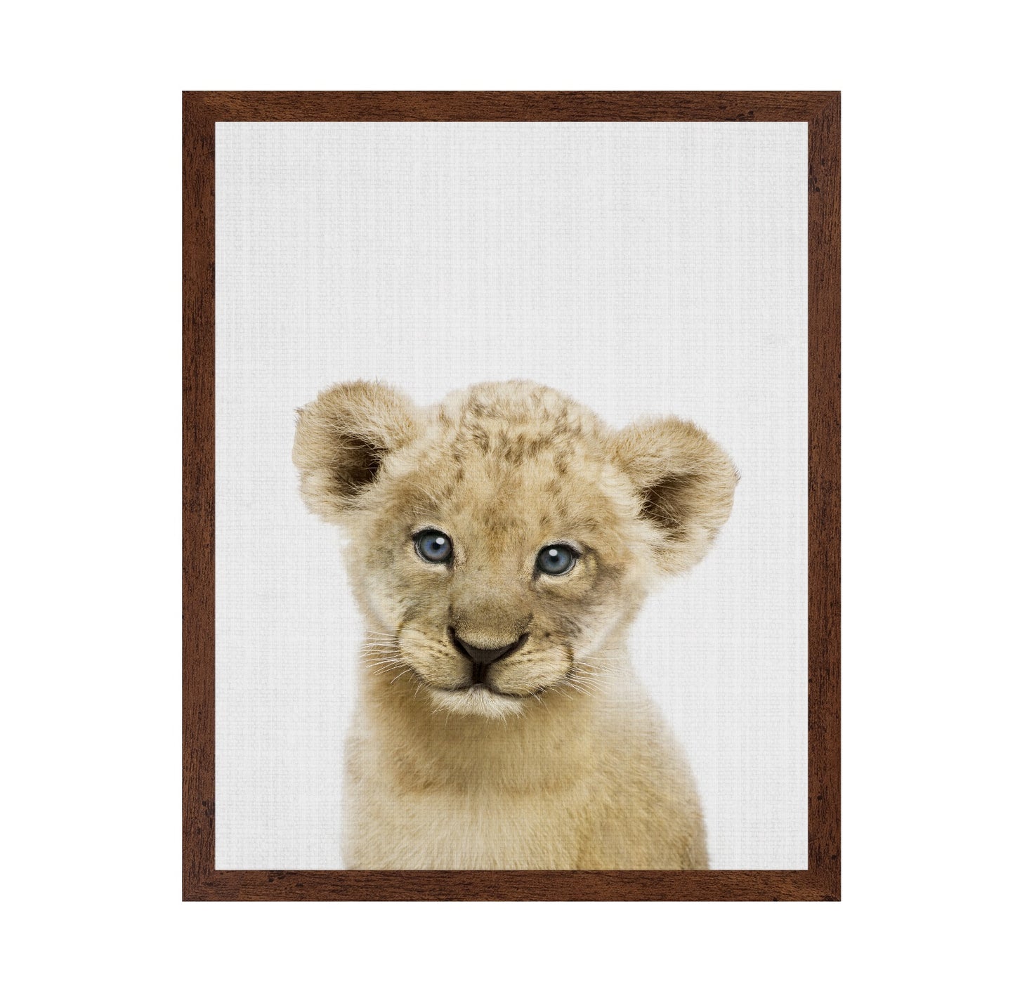 Peekaboo Baby Lion