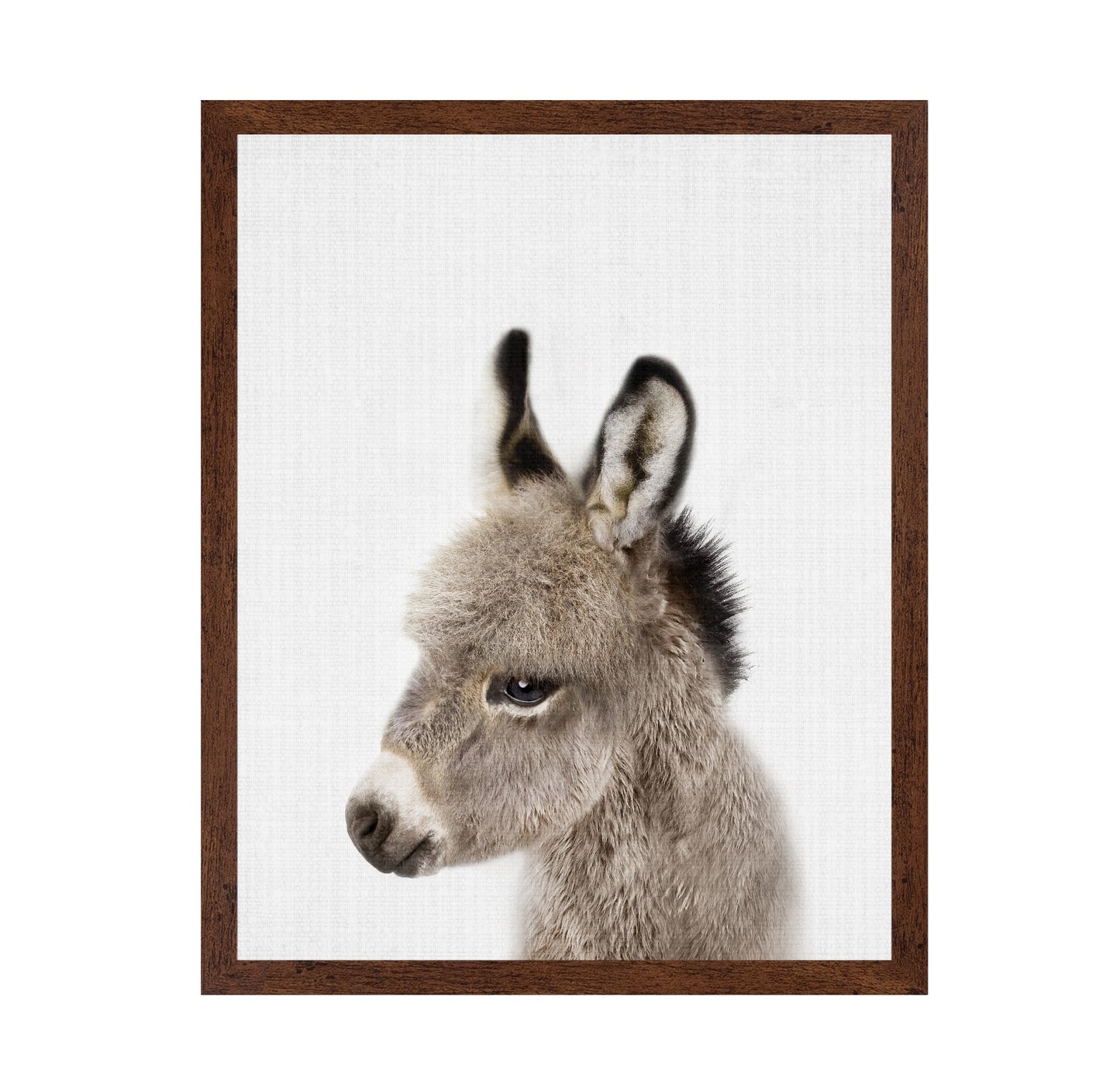 Peekaboo Baby Donkey