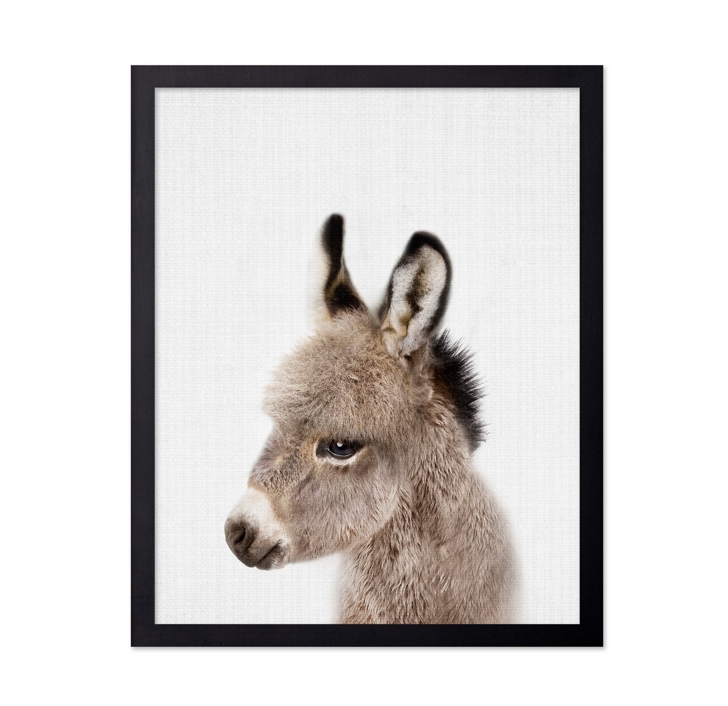 Peekaboo Baby Donkey