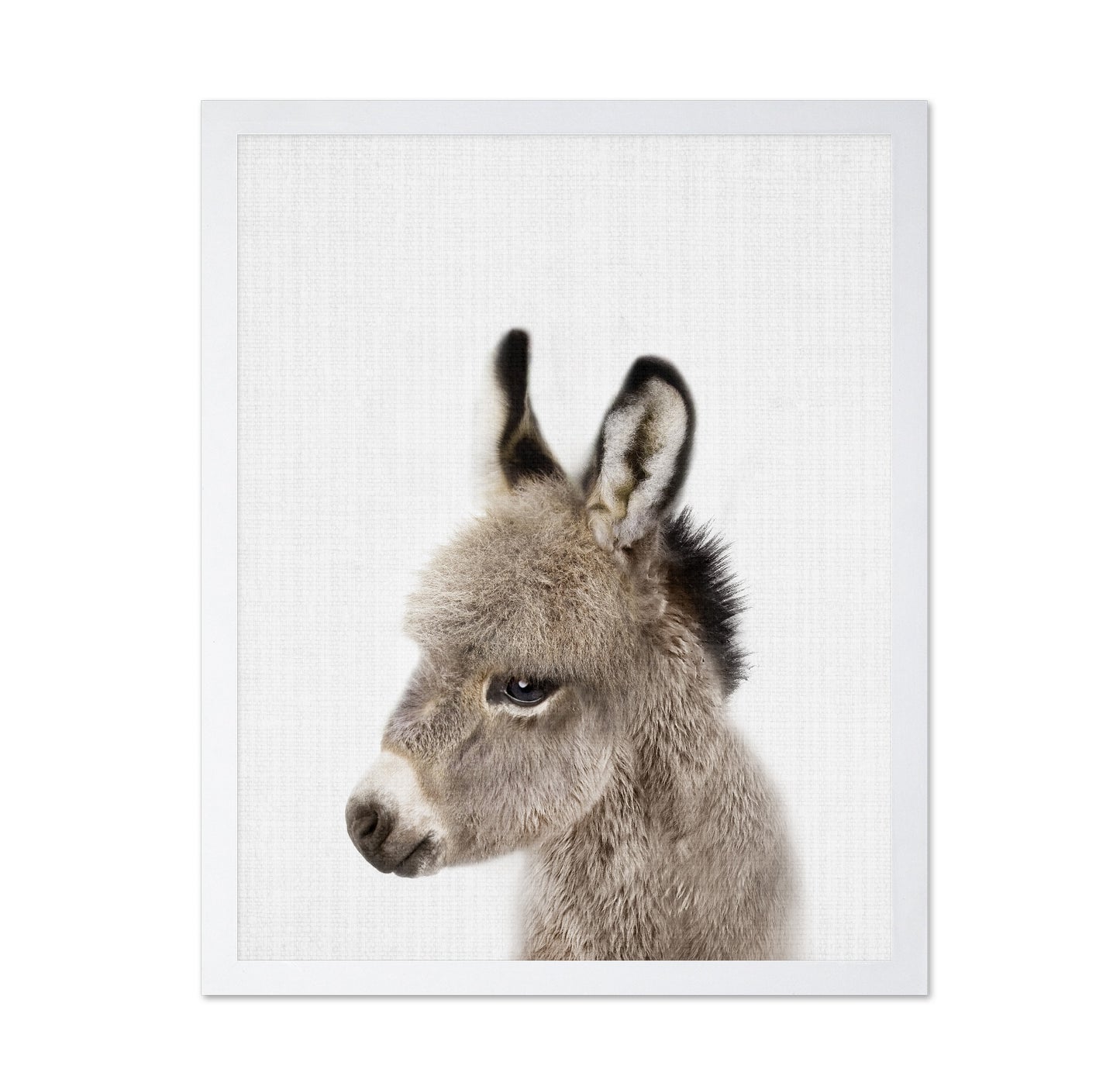 Peekaboo Baby Donkey