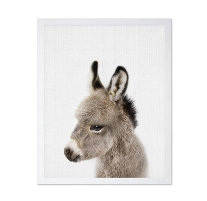 Peekaboo Baby Donkey