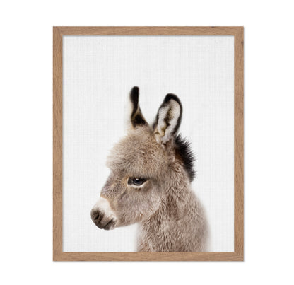 Peekaboo Baby Donkey
