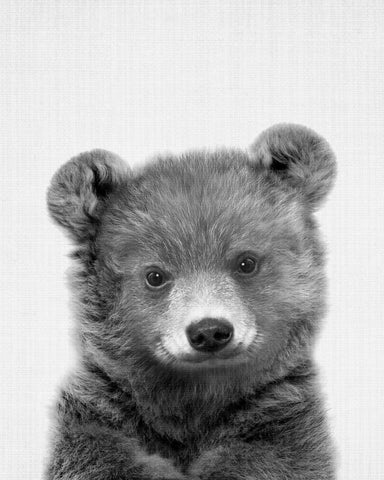 Black a White Peekaboo Bear