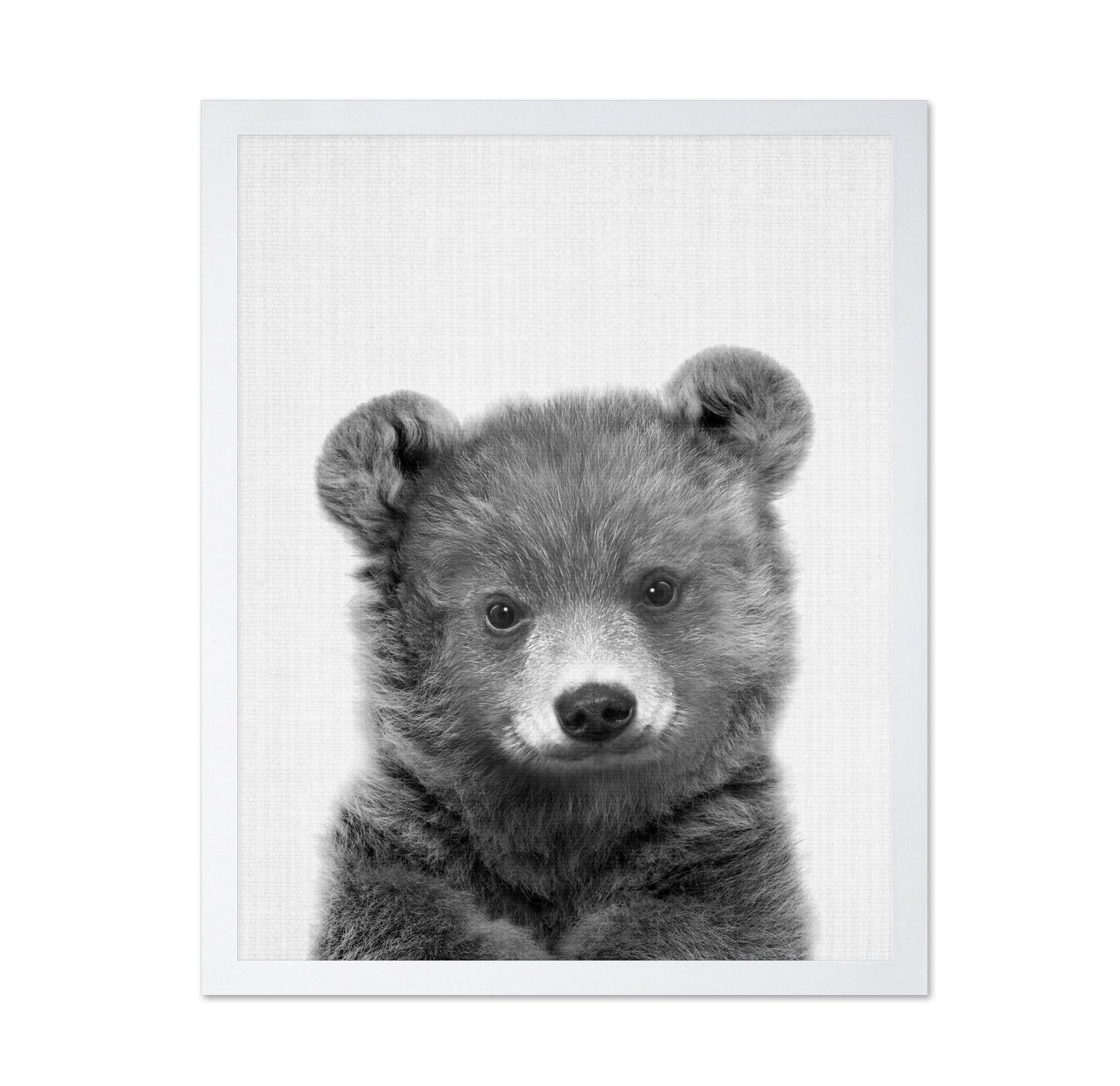 Black a White Peekaboo Bear