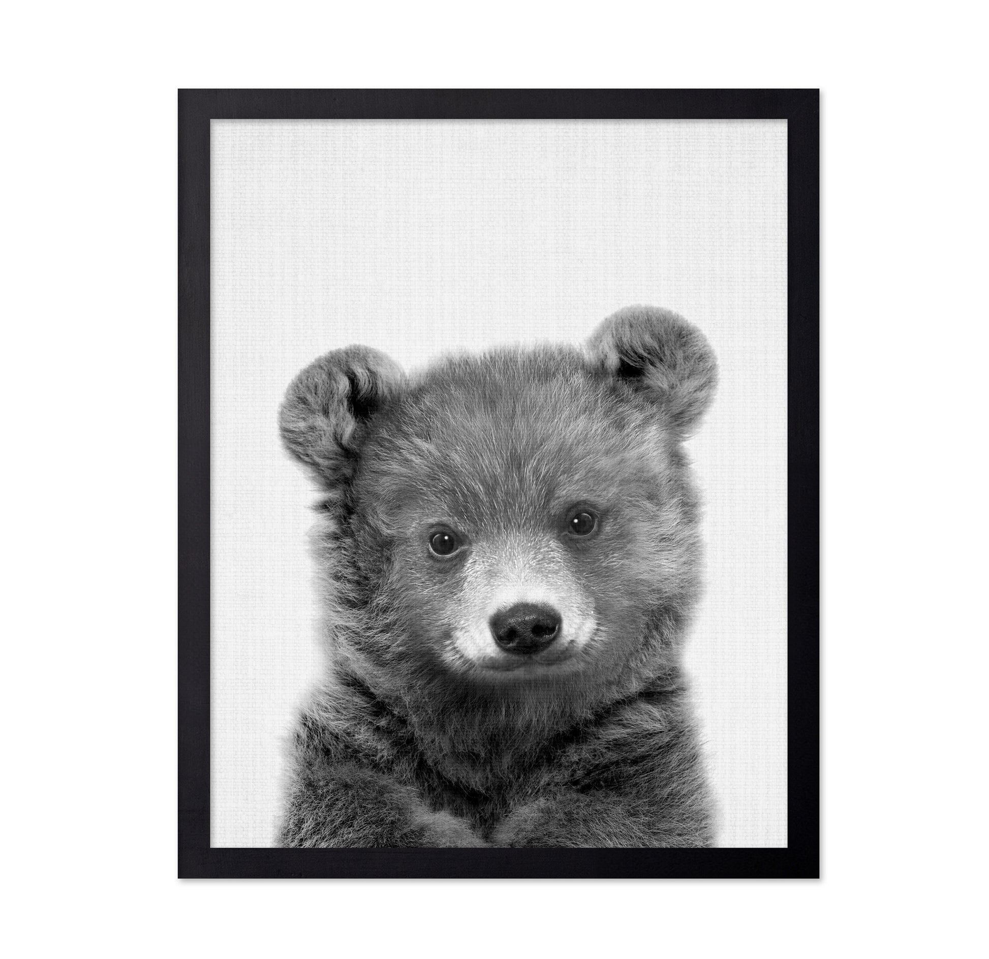 Black a White Peekaboo Bear