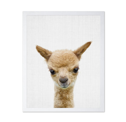 Peekaboo Baby Llama