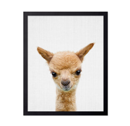 Peekaboo Baby Llama