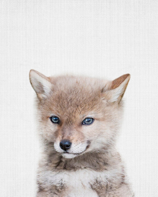 Peekaboo Baby Wolf