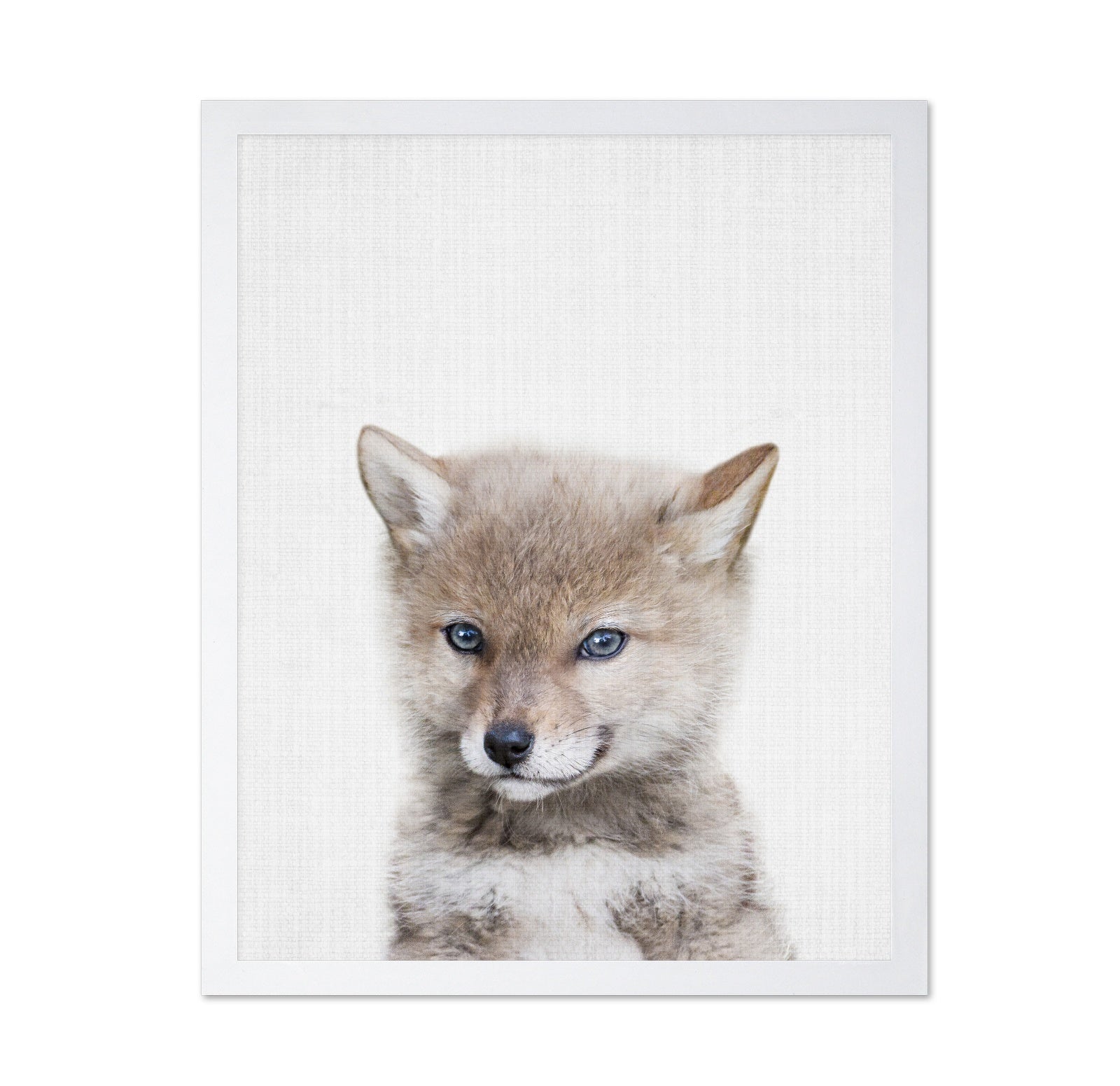 Peekaboo Baby Wolf