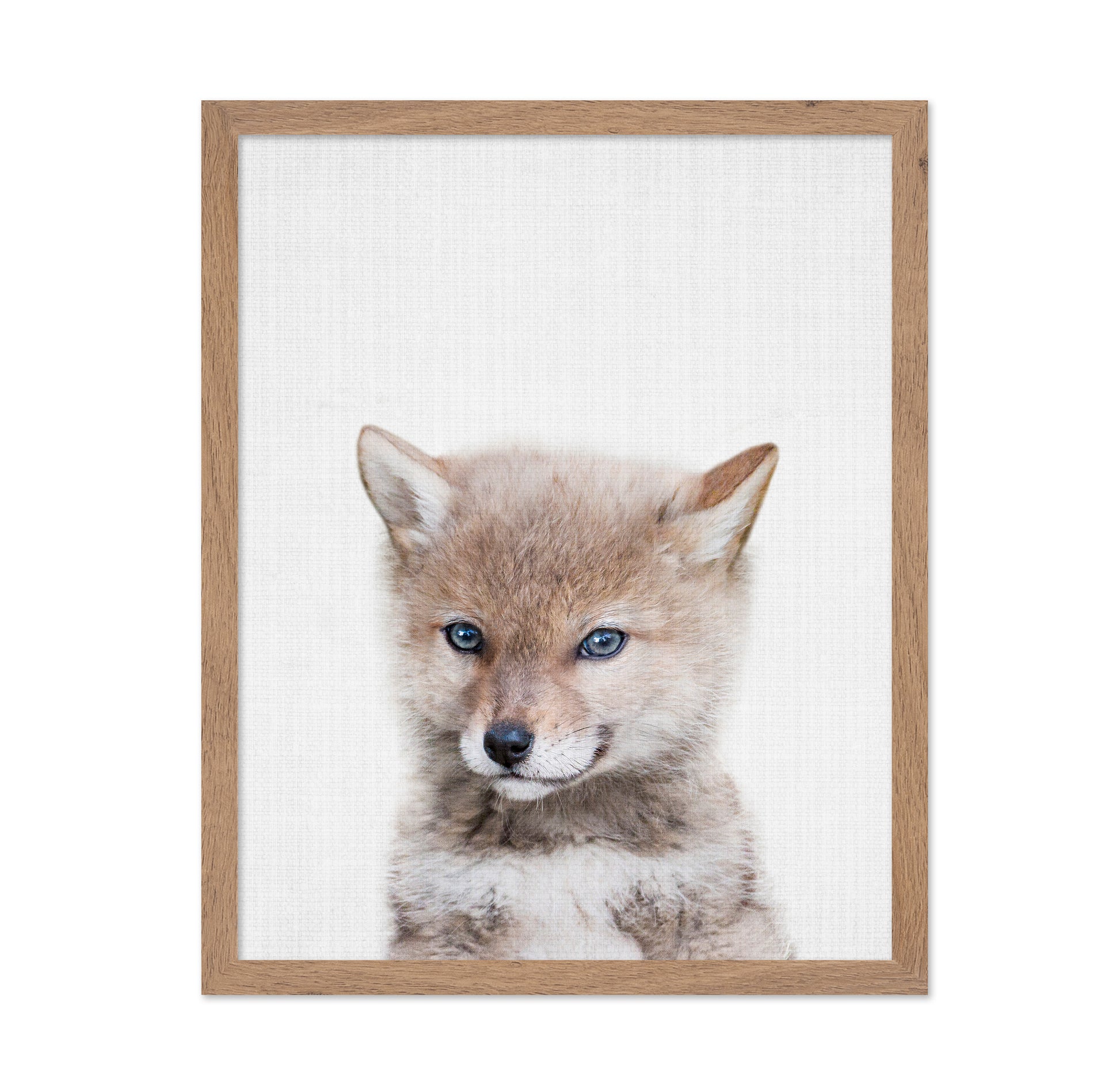 Peekaboo Baby Wolf