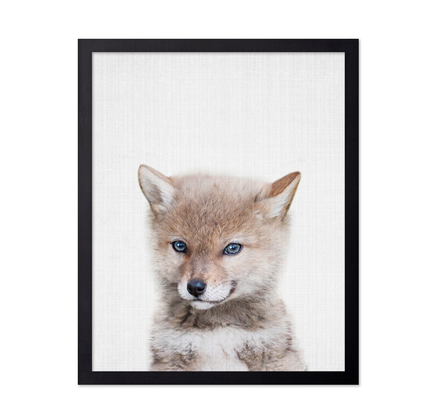 Peekaboo Baby Wolf