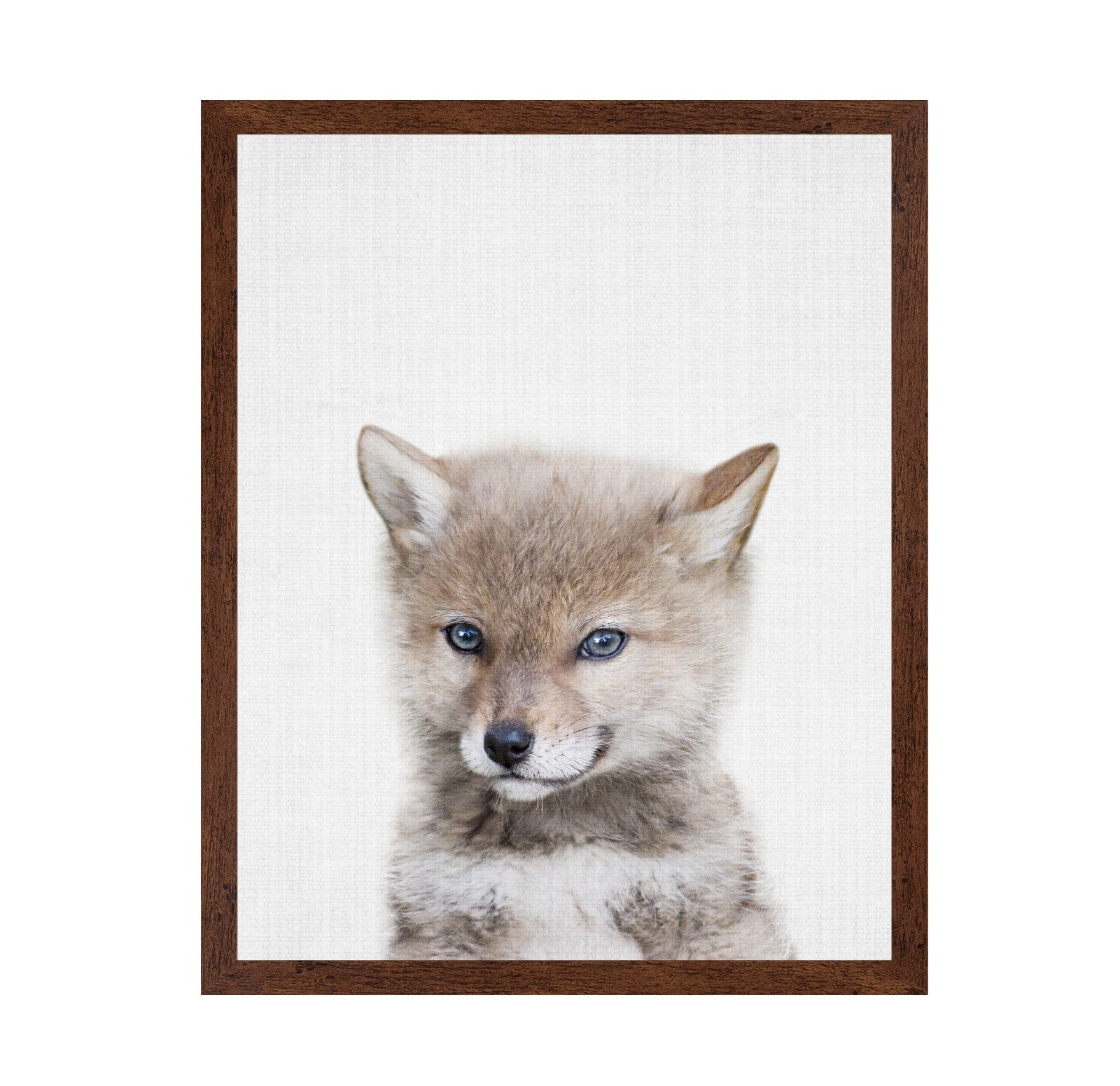Peekaboo Baby Wolf