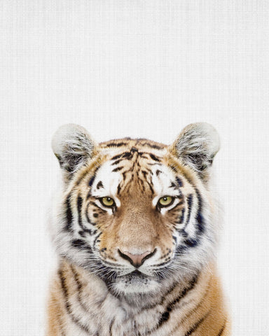 Peekaboo Tiger