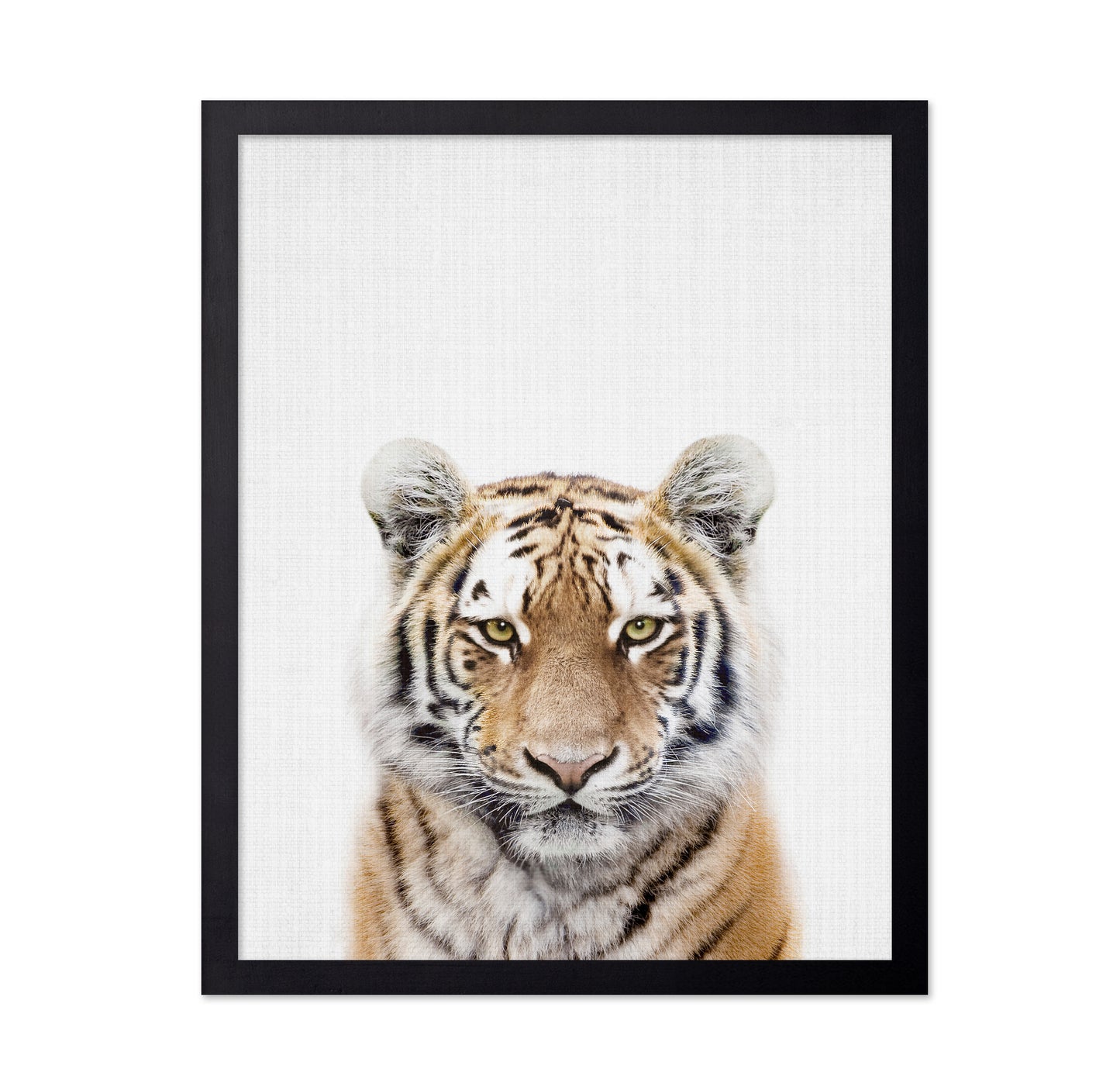 Peekaboo Tiger