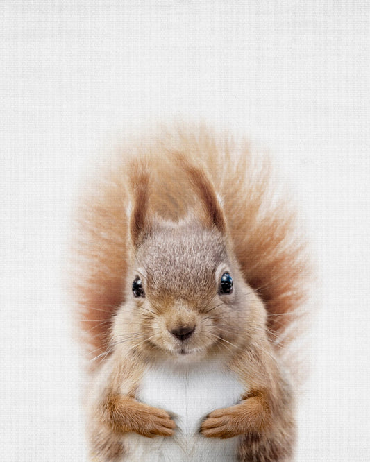 Peekaboo Squirrel
