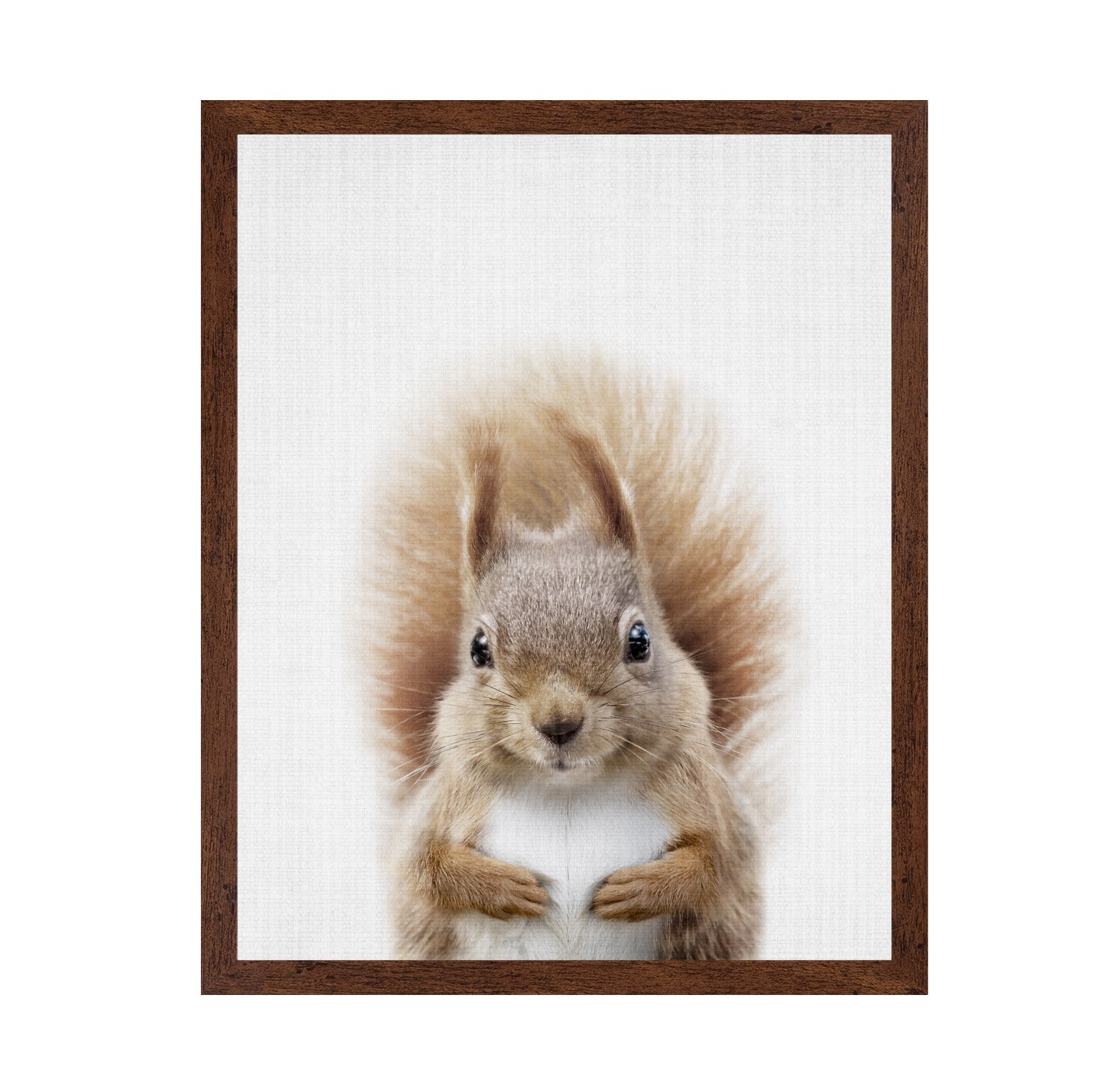 Peekaboo Squirrel