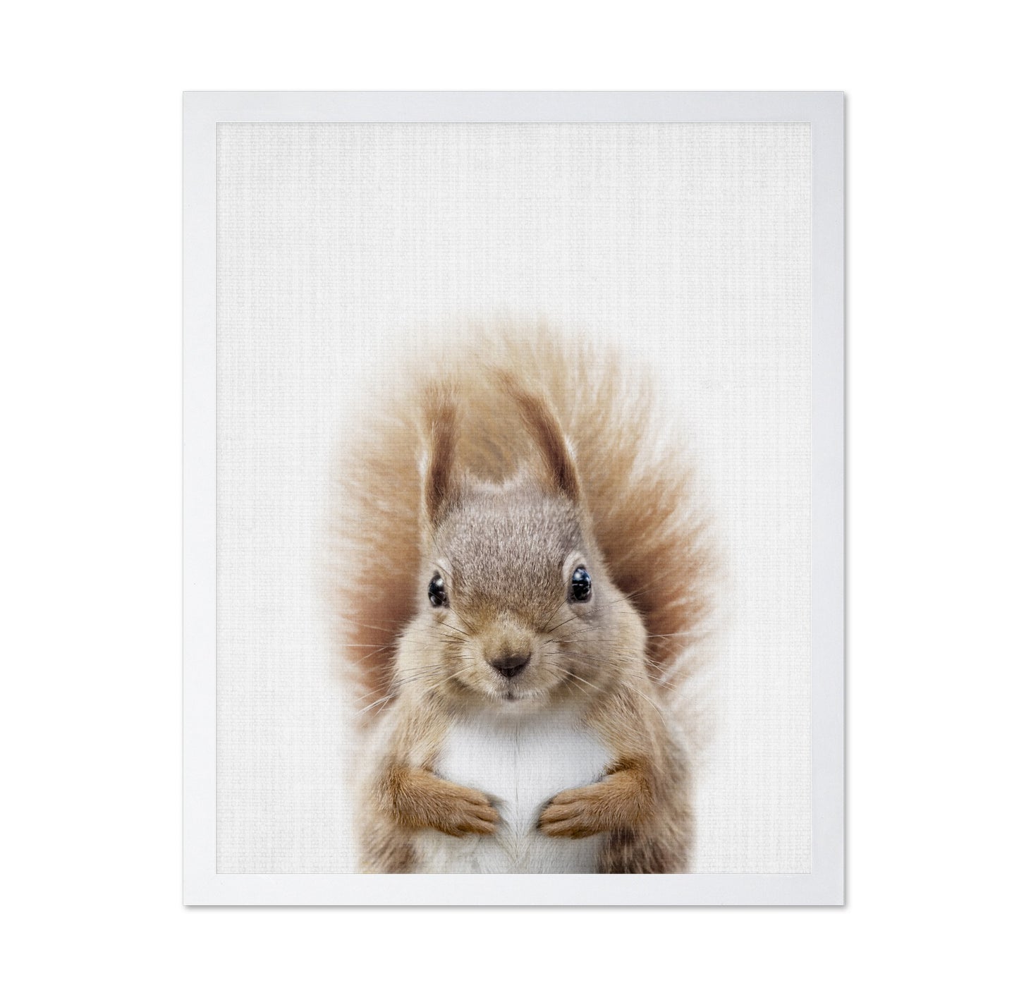 Peekaboo Squirrel
