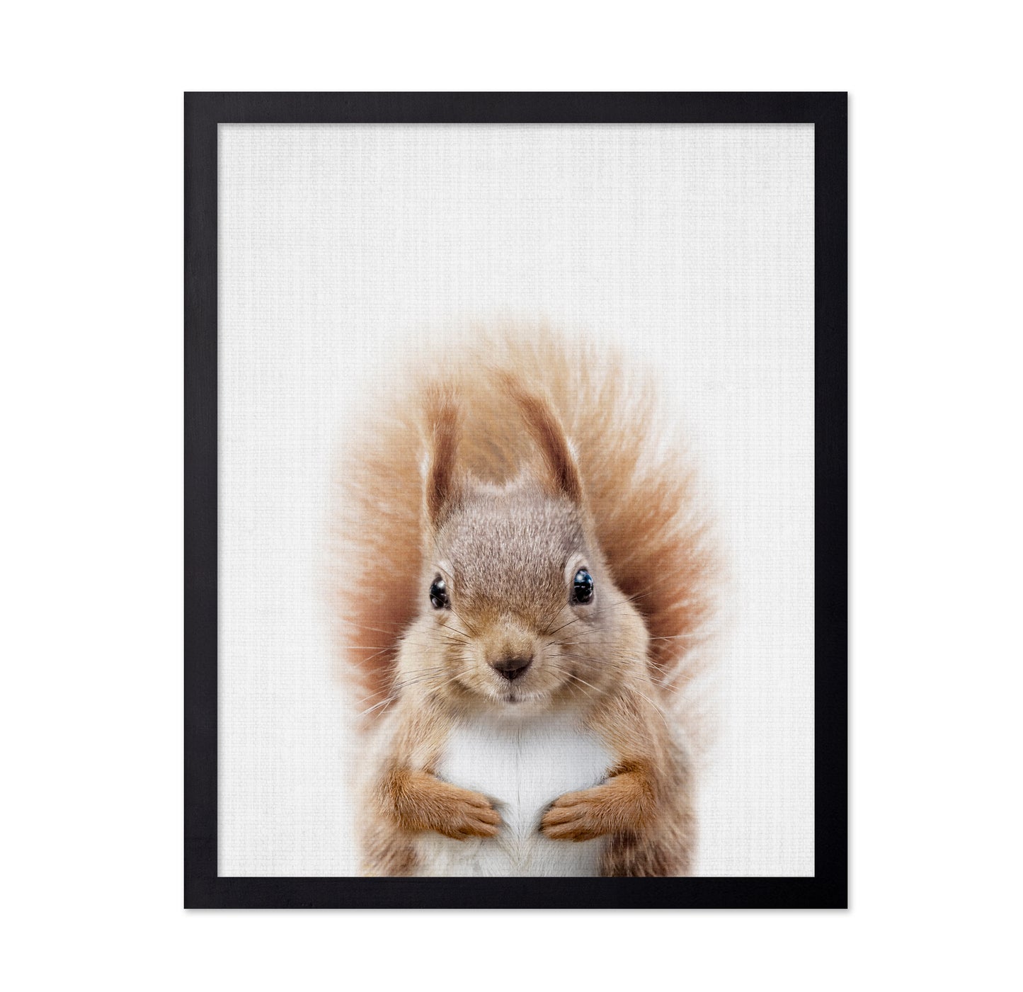 Peekaboo Squirrel