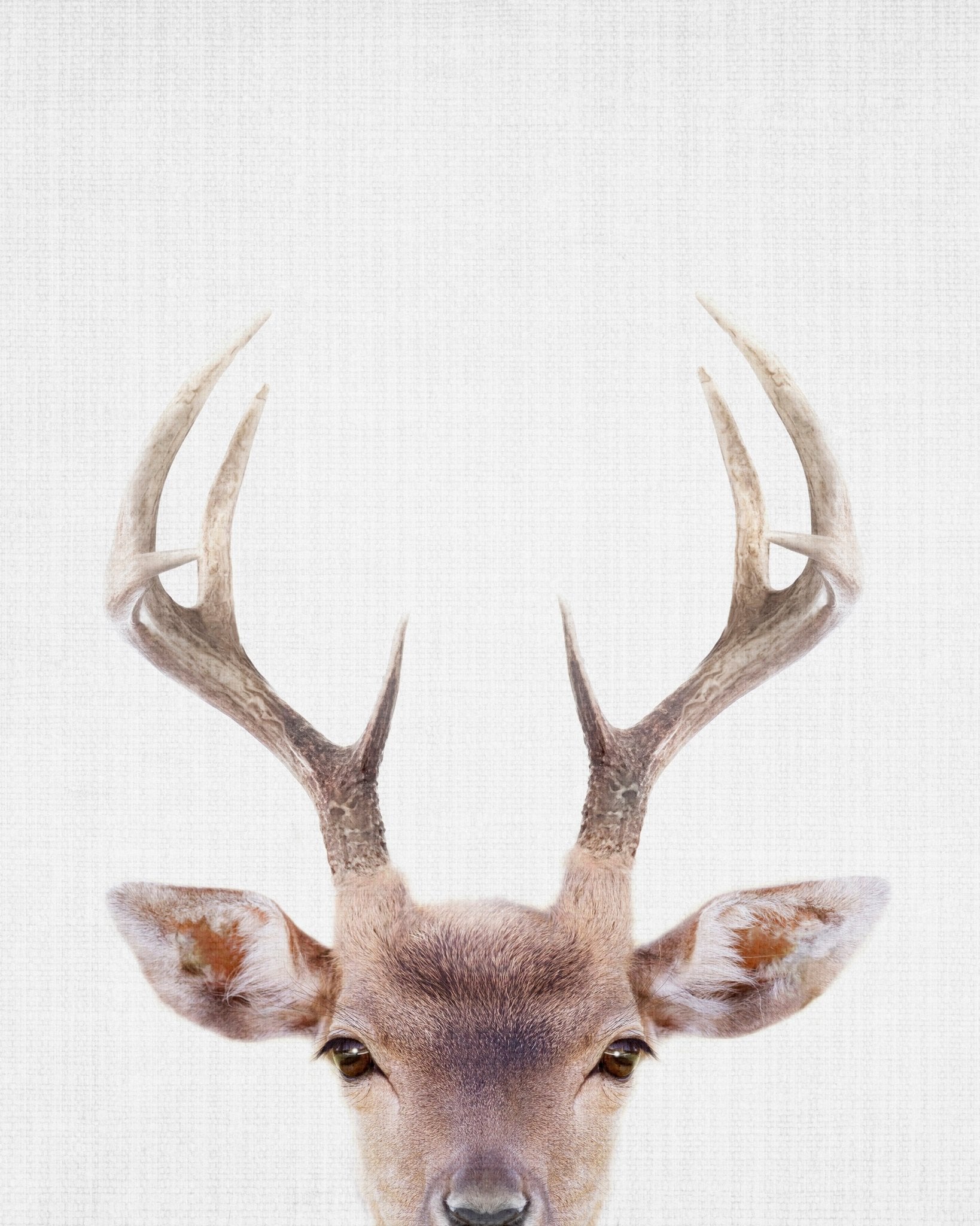 Peekaboo Deer