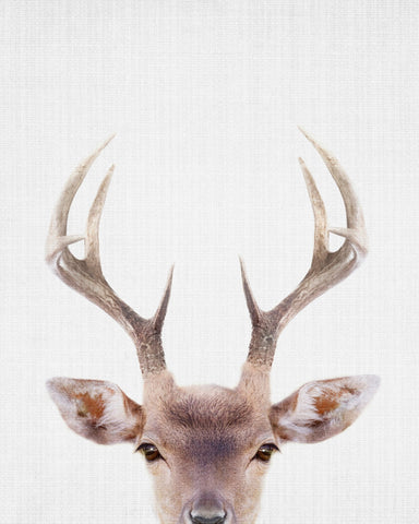 Peekaboo Deer