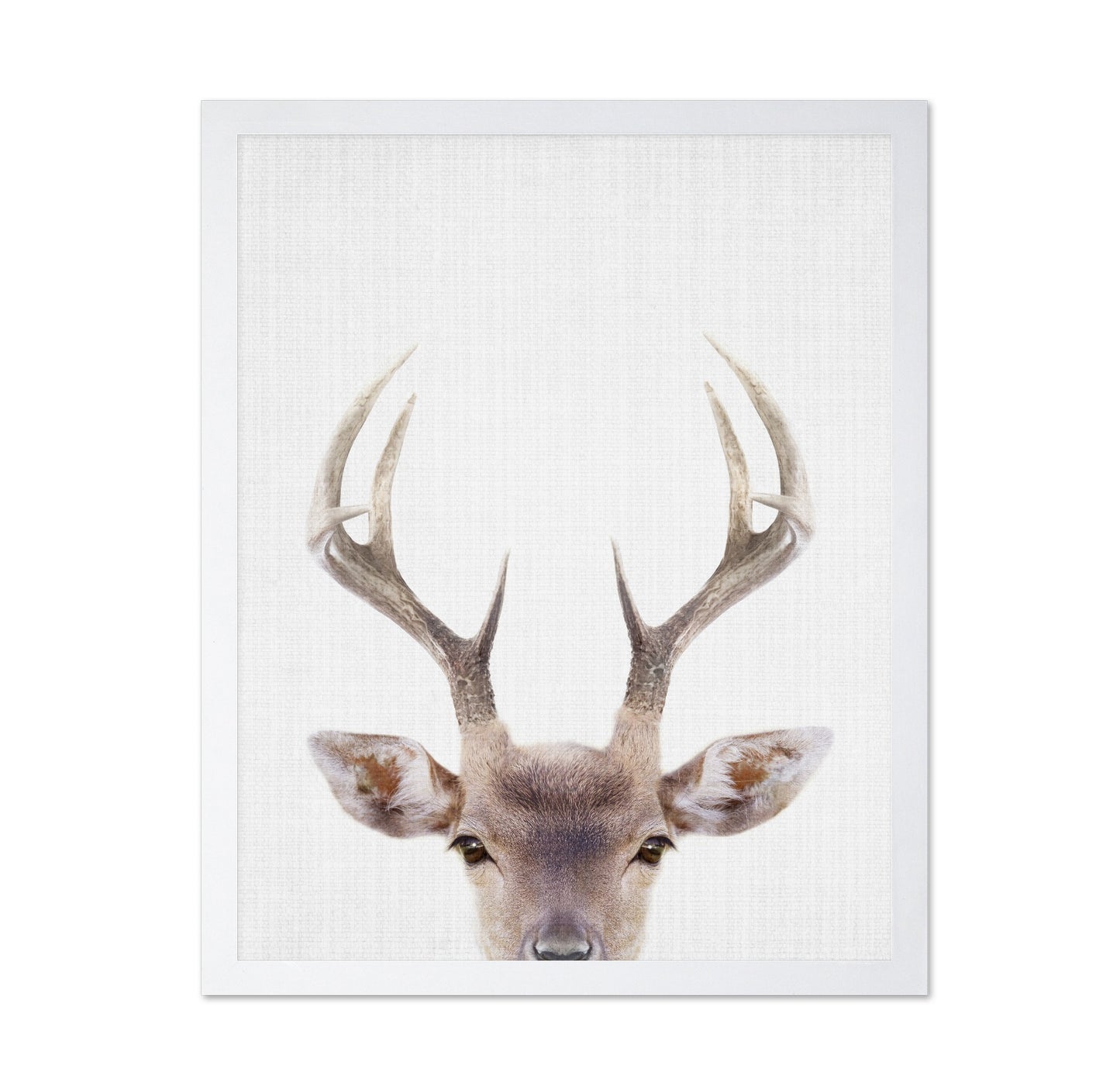 Peekaboo Deer