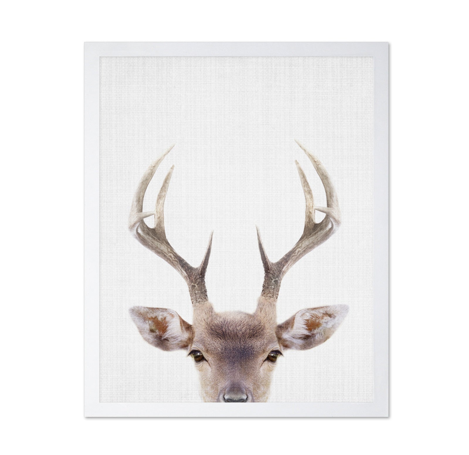 Peekaboo Deer