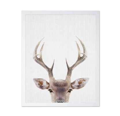 Peekaboo Deer