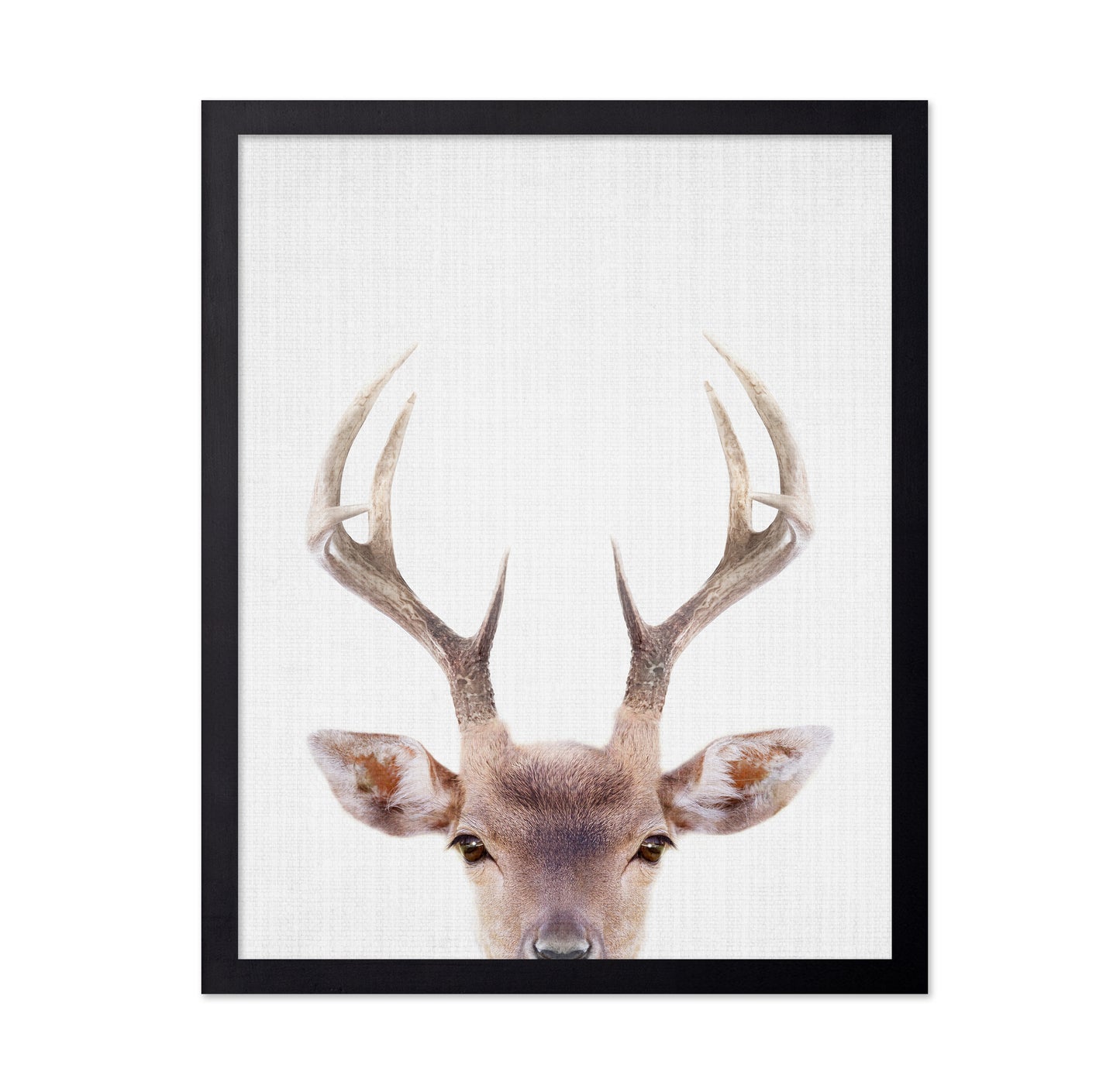 Peekaboo Deer
