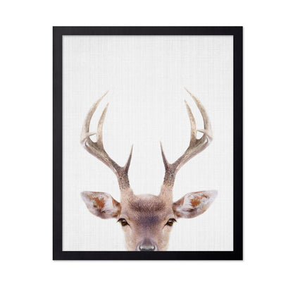 Peekaboo Deer
